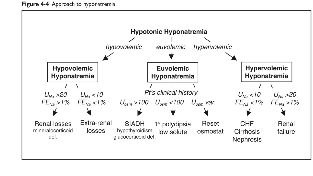 Hyponatremia Chart